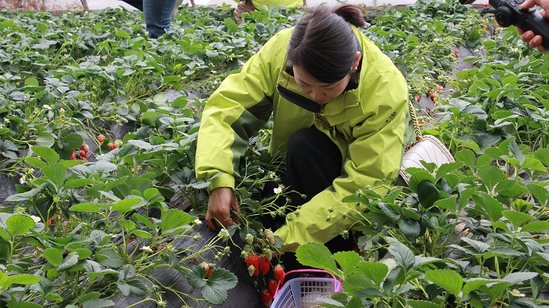 醒春時(shí)光，共赴“莓”好|青島中新華美塑料有限公司女神節(jié)活動(dòng)圓滿舉行